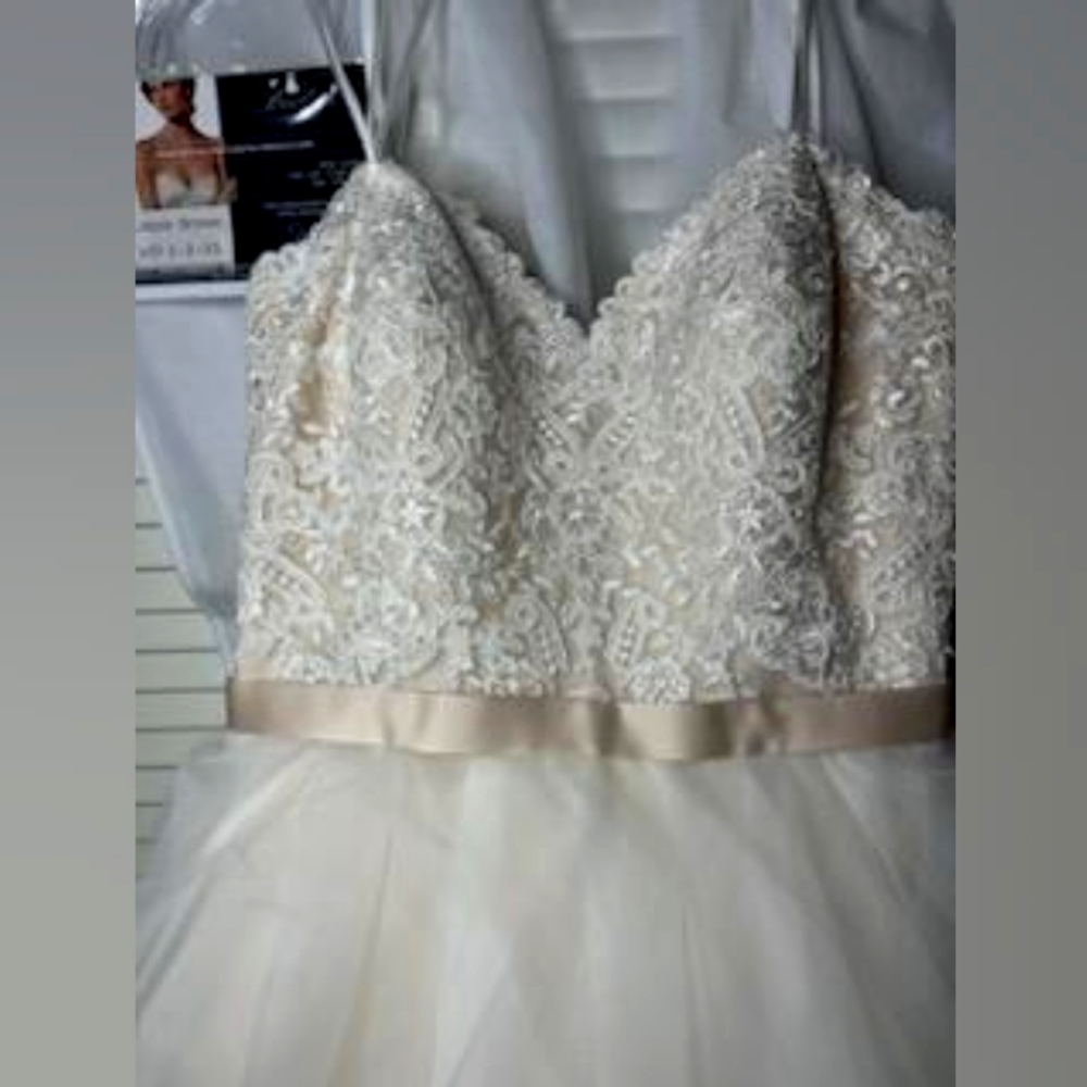 Wedding dress by Madeline Gardner/New York